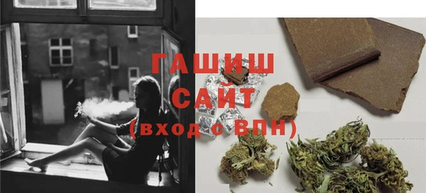 гидра Елабуга