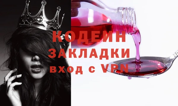 дмт Ельня
