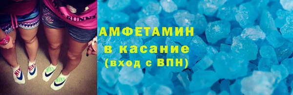гидра Елабуга