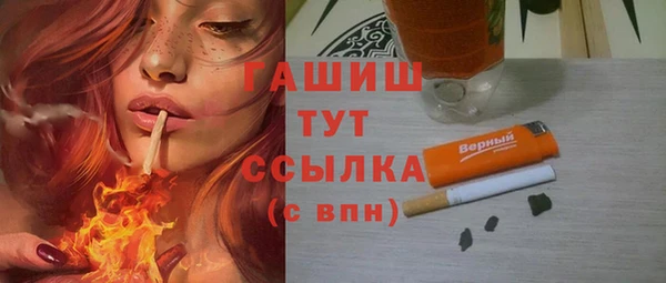 дмт Ельня