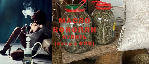 дмт Ельня
