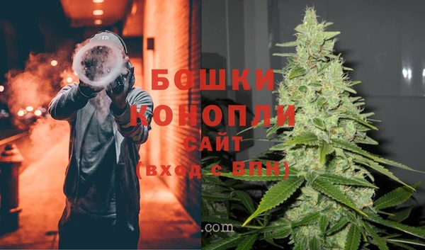 гидра Елабуга