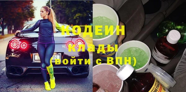 дмт Ельня