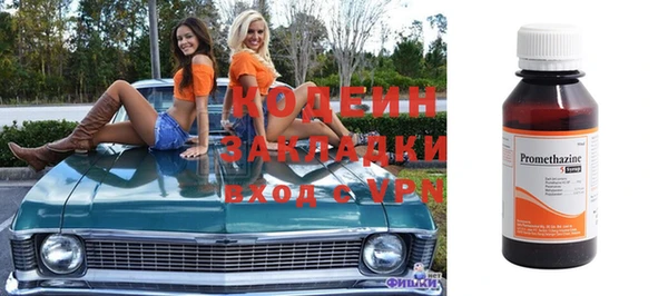 дмт Ельня