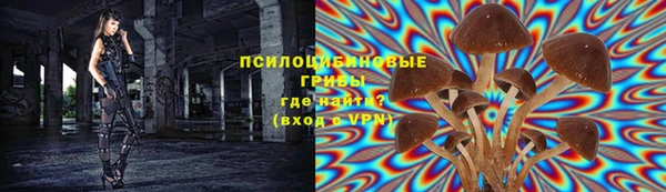 прущая мука Сосновый Бор