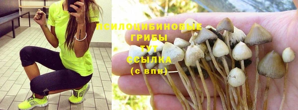spice Сосновка