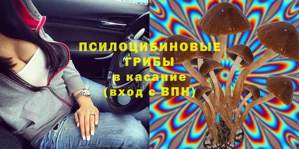 гидра Елабуга