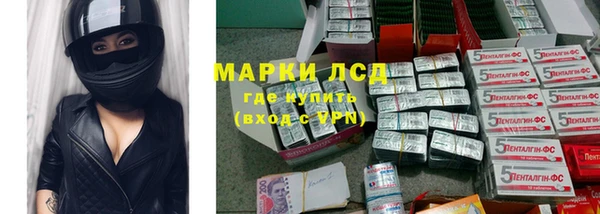 дмт Ельня