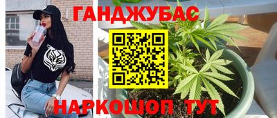 прущие грибы Мариинск