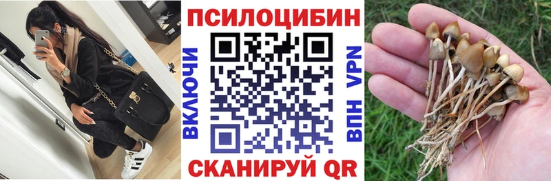 Галлюциногенные грибы ЛСД  Среднеуральск 