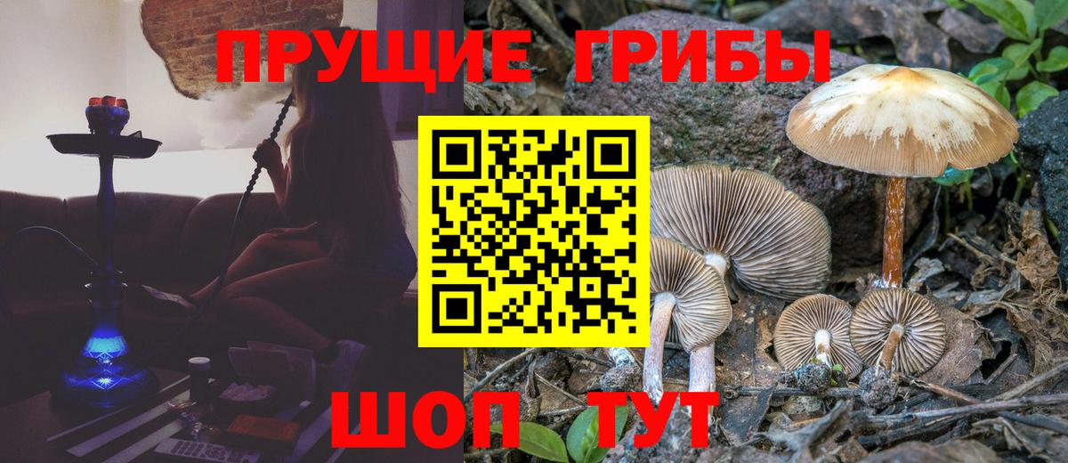 Псилоцибиновые грибы MAGIC MUSHROOMS Среднеуральск
